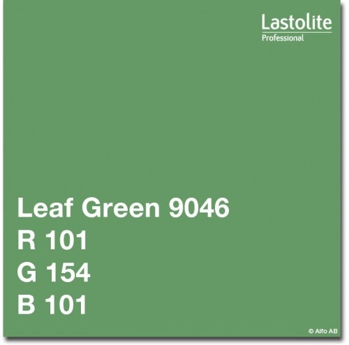 Lastolite papīra fons 2,75x11m, Leaf Green zaļš (9046) image 1