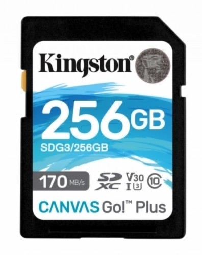 Kingston Canvas Go Plus 256GB image 1