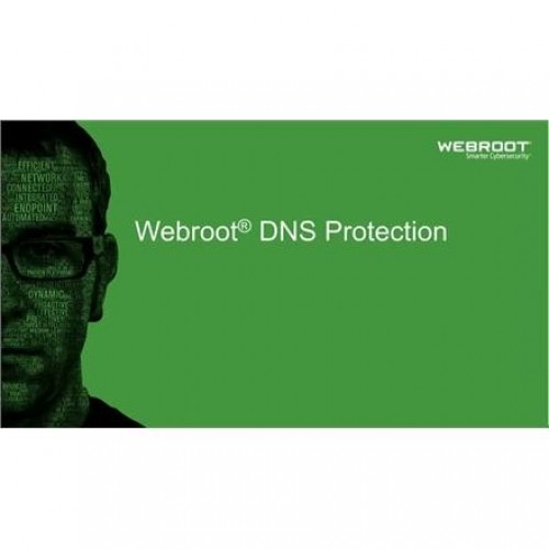 Webroot DNS Protection with GSM Console, 2 year(s), License quantity 10-99 user(s) image 1