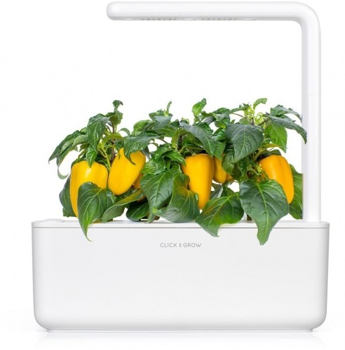 Click & Grow gudrā augu dārza uzpilde Dzeltenā saldā paprika 3gb. image 1