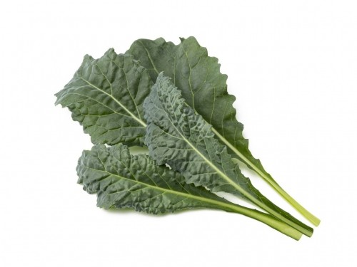 Click & Grow Smart Refill Italian Kale 3pcs image 1