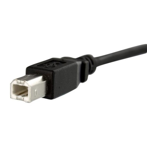 USB Kabelis Startech USBPNLBFBM1          USB B Melns image 1