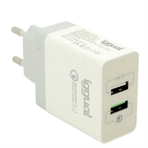 Wall Charger iggual IGG317389 image 1