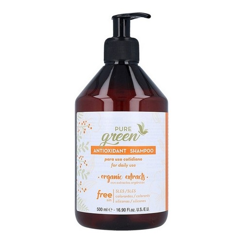 Shampoo Antioxidant Pure Green image 1
