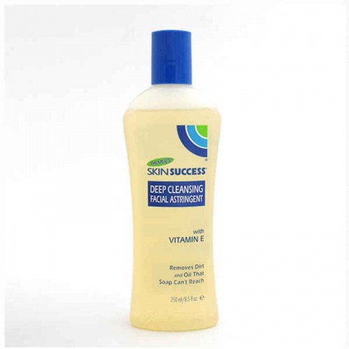 Body Cream Palmer's Skin Success (250 ml) image 1