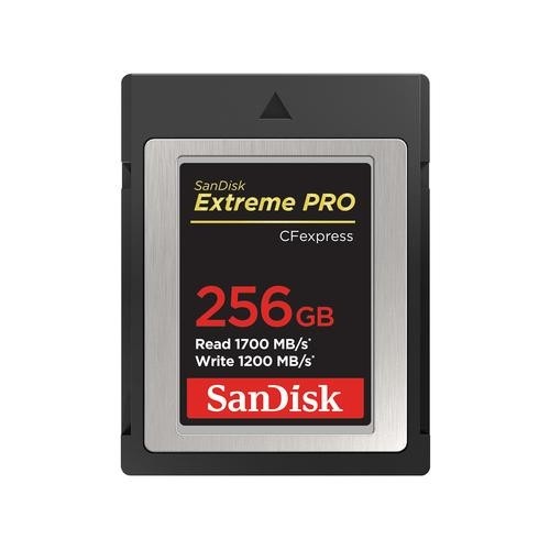 SanDisk SDCFE-256G-GN4NN memory card 256 GB CFexpress image 1