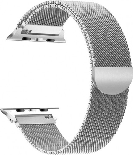 Tech-Protect  ремешок для часов MilaneseBand Apple Watch 4/5/6/7/SE 38/40/41mm, серебристый image 1