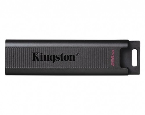 MEMORY DRIVE FLASH USB3.2/256GB DTMAX/256GB KINGSTON image 1