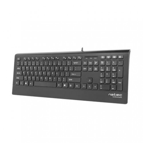 Natec Keyboard, Barracuda, US Layout, Slim image 1
