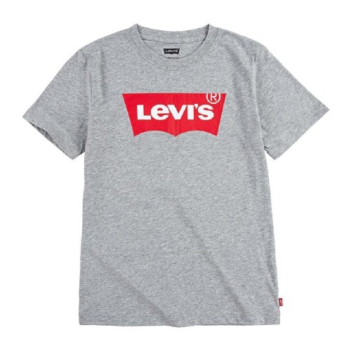 Футболка с коротким рукавом мужская Levi's Batwing Серый Светло-серый image 1