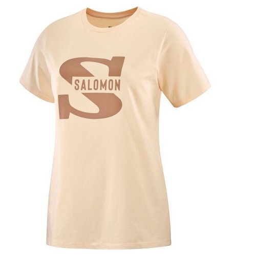 Men’s Short Sleeve T-Shirt Salomon Big Logo Nude Beige Brown image 1