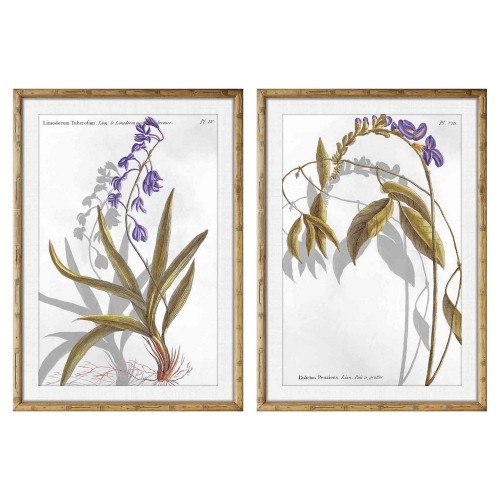 Painting DKD Home Decor 50 x 2 x 70 cm Modern Botanical plants (2 Units) image 1