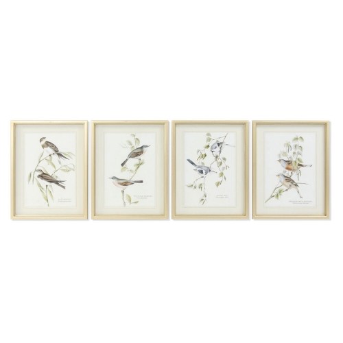 Painting DKD Home Decor 35 x 2,5 x 45 cm Traditional Birds (4 Pieces) image 1