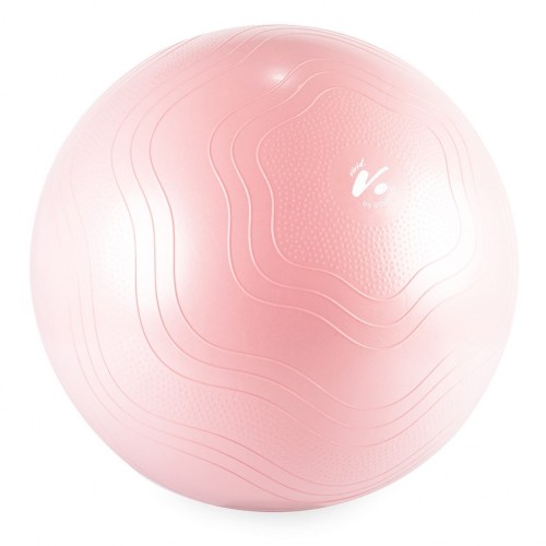 Gym Ball GYMSTICK Vivid line 61334-65 65cm Pink image 1