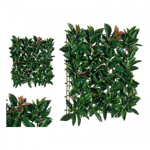 Ibergarden Dekoratīvs Augs Zaļš Plastmasa (50 x 3 x 50 cm) image 1