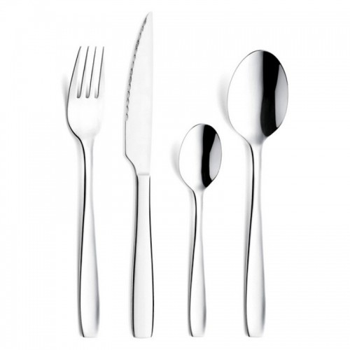Cutlery set Amefa Hotel Metal Steel Stainless steel 24 Pieces image 1