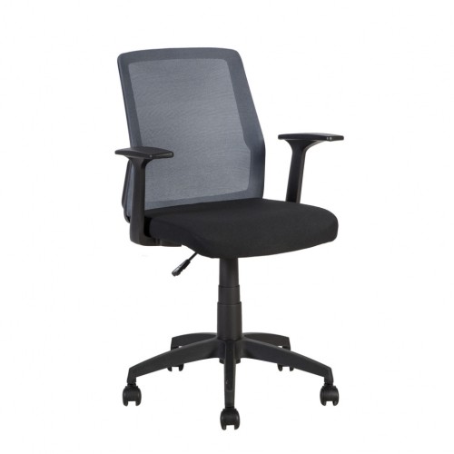 Darba krēsls ALPHA melns/pelēks image 1