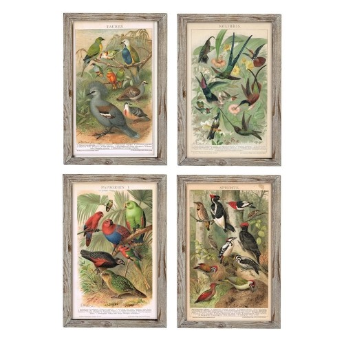 Картина DKD Home Decor птицы (45 x 2 x 65 cm) (4 pcs) image 1