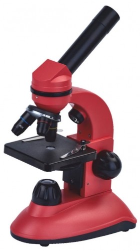 Микроскоп, Discovery Nano Terra, 40x-400x, с книгой image 1