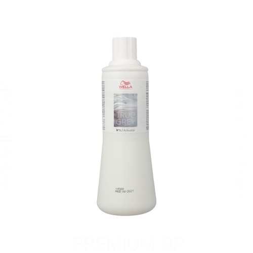 Активатор цвета Wella True Grey nº1 (500 ml) image 1