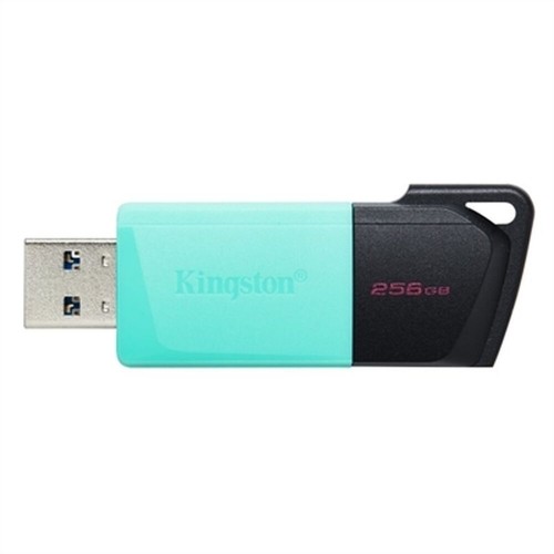 USВ-флешь память Kingston DataTraveler DTXM 256 GB 256 GB image 1
