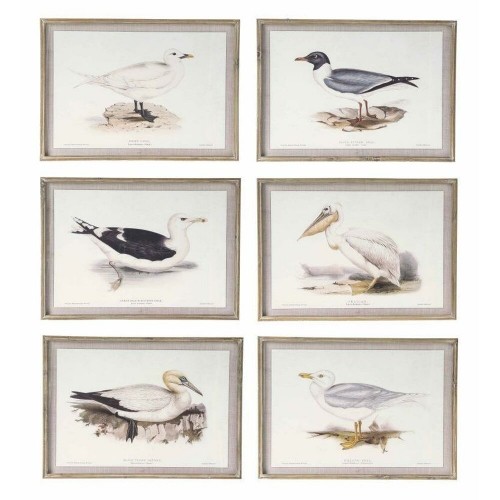 Painting DKD Home Decor 70 x 2,5 x 50 cm Traditional Birds (6 Pieces) image 1