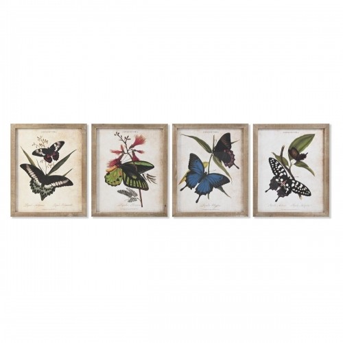 Painting DKD Home Decor Butterflies 40 x 2 x 50 cm Shabby Chic (4 Pieces) image 1