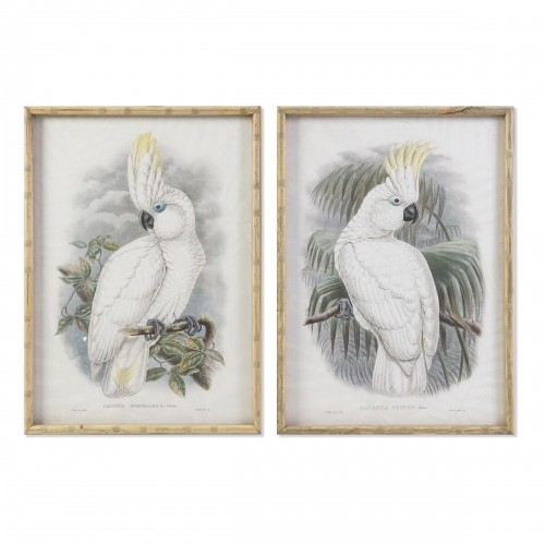 Painting DKD Home Decor 50 x 2,8 x 70 cm Colonial Parrot (2 Units) image 1