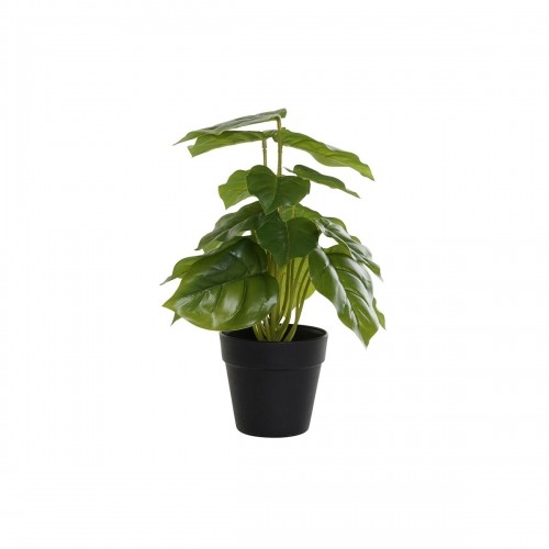 Декоративное растение DKD Home Decor Чёрный Зеленый PVC PP (20 x 20 x 30 cm) image 1