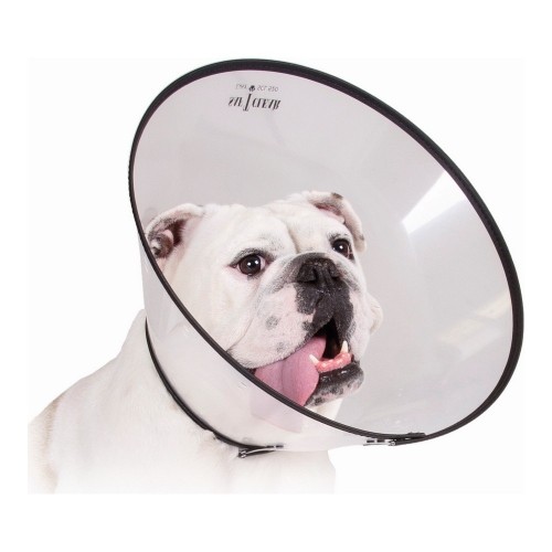 Elizabethan Dog Collar KVP Saf-T-Clear Transparent (22-43 cm) image 1