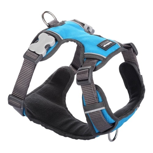 Dog Harness Red Dingo Padded Turquoise L image 1