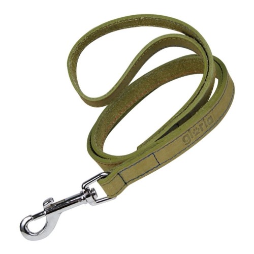 Dog Lead Gloria Oasis 3 x 60 cm Green image 1