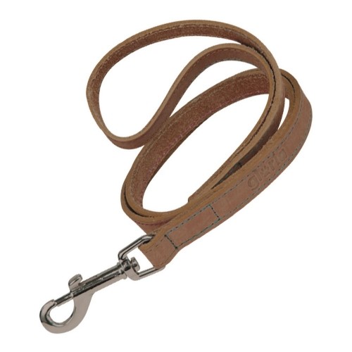 Dog Lead Gloria Oasis 2.1 x 100 cm Brown image 1