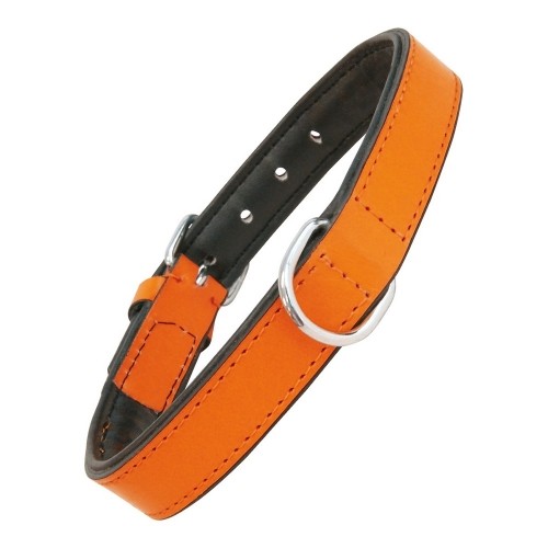 Dog collar Gloria Padded Orange (55 x 2,5 cm) image 1