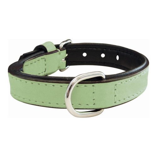 Dog collar Gloria Padded Green (50 x 2,5 cm) image 1