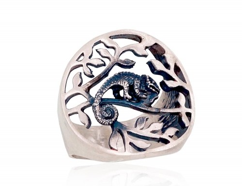 Серебряное кольцо #2101400(POx-MattB), Серебро	925°, оксид (покрытие), Размер: 17, 6.5 гр. image 1