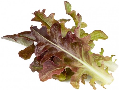 Click & Grow Smart Refill Красный салат оаклиф 3 шт. image 1