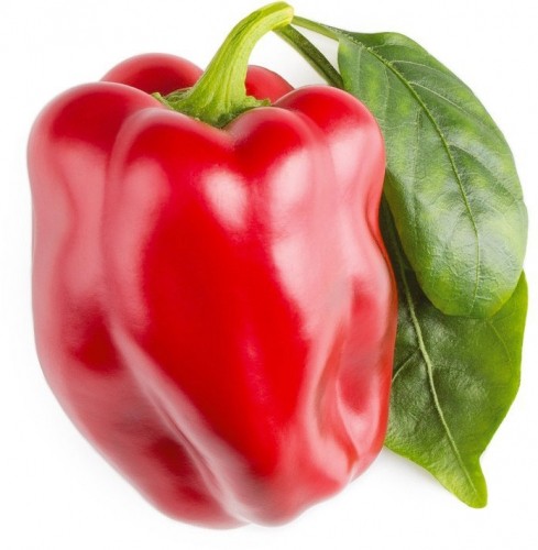 Click & Grow Smart Garden капсулы Красный сладкий перец 3 шт. image 1