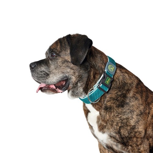 Dog collar Hunter Plus Thread turquoise Turquoise Size XL (45-70 cm) image 1