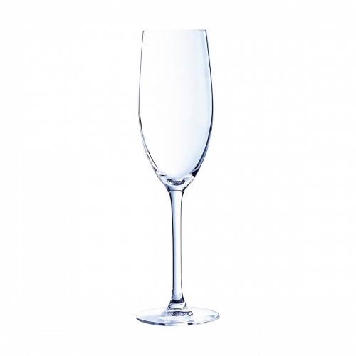 Champagne glass Chef & Sommelier Cabernet Transparent Glass 240 ml image 1