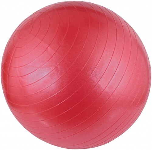 Гимнастический мяч AVENTO 42OA 55cm Pink image 1