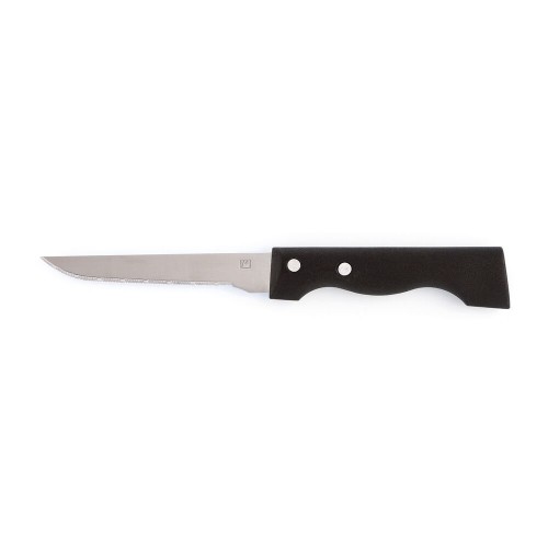 Meat Knife Amefa Campagnard Metal Bicoloured (21,5 cm) (Pack 12x) image 1