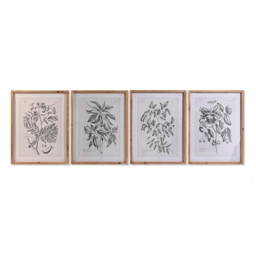 Картина DKD Home Decor Ель Стеклянный Ботанические растения (50 x 65 x 2 cm) (4 штук) image 1
