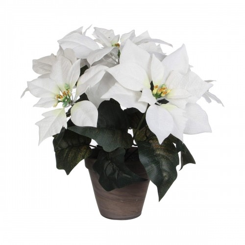 Decorative Plant White PVC (27 X 35 CM) image 1