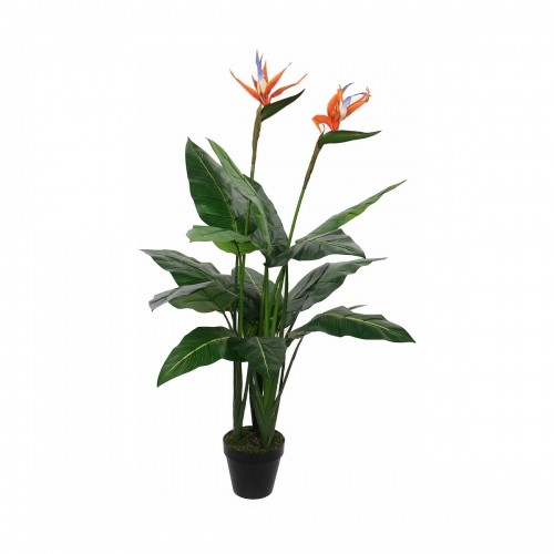 Декоративное растение Mica Decorations (60 x 110 cm) image 1