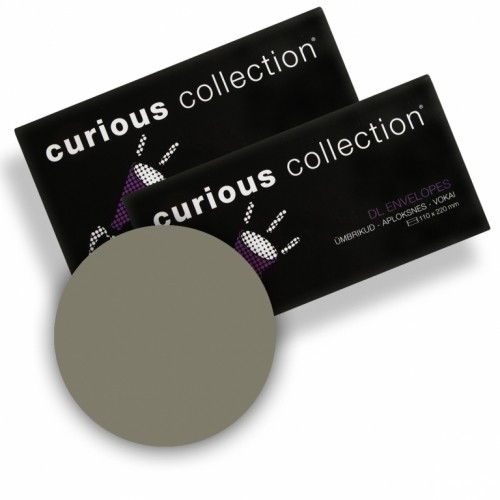 Curious Metallic Конверт цветной Curios metallic Collection E65,110x220mm,120g/m2, цинковый image 1