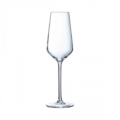 C&S Plakana šampanieša un kavas glāze Chef & Sommelier Distinction 6 gb. Stikls (230 ml) image 1