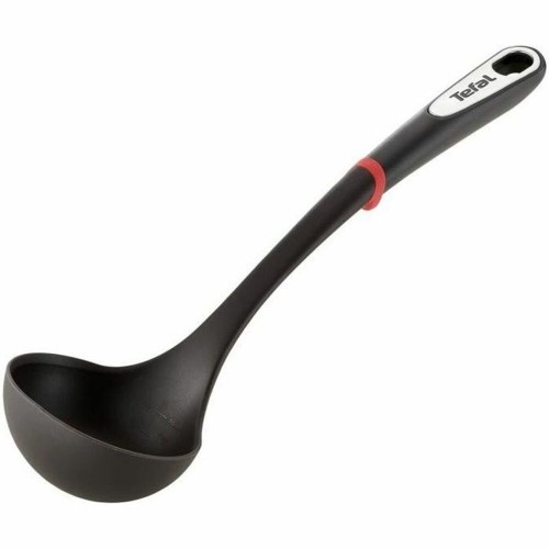 Ladle Tefal Ingenio Ladle Black Stainless steel image 1