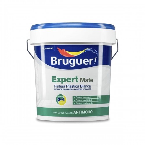 картина Bruguer Expert 5208090 15 L image 1