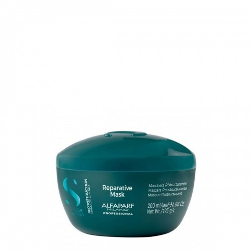 Restorative Hair Mask Alfaparf Milano image 1